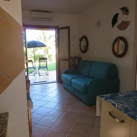 Trilo Alex Costa Rei